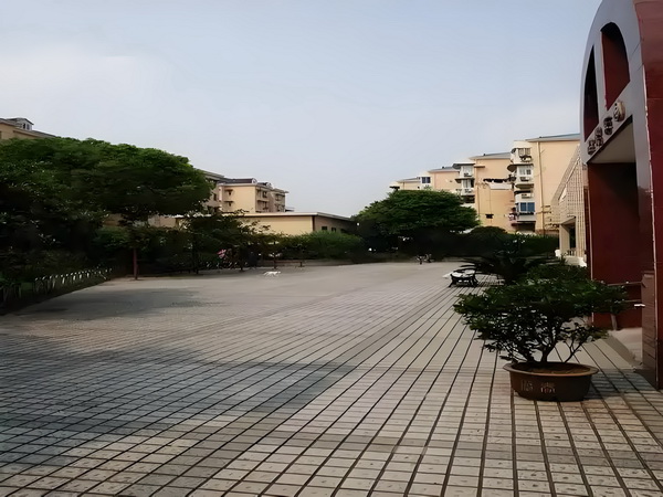 陈梦与演员任嘉伦一起打乒乓球，两人系发小+队友